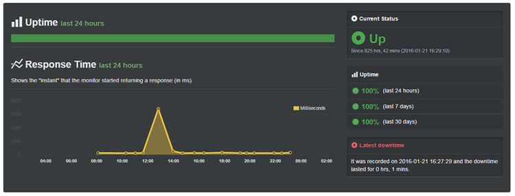 InterServer scored 100% in uptime for the past 30 days. In fact, test site has only gone down once this year (on January 21, for only one minute). Result is extremely impressive for a budget hosting plan. 